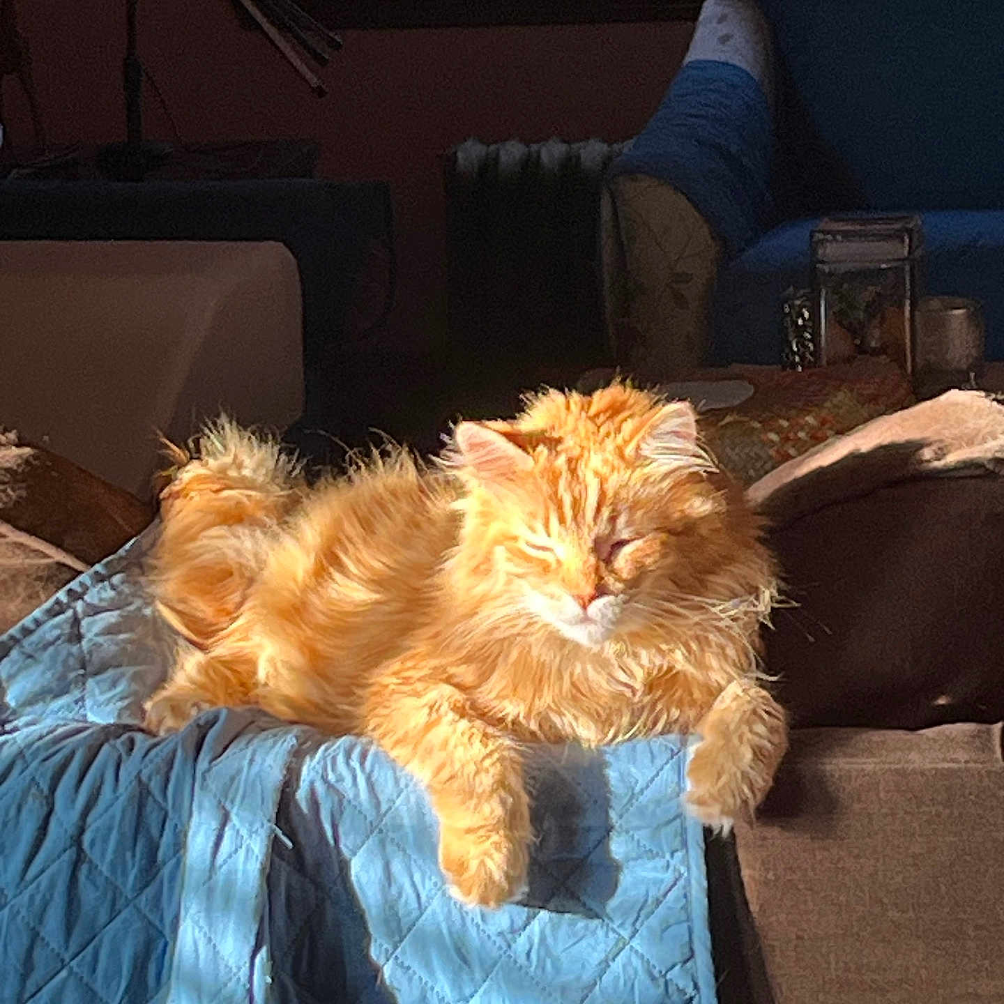 Sunny