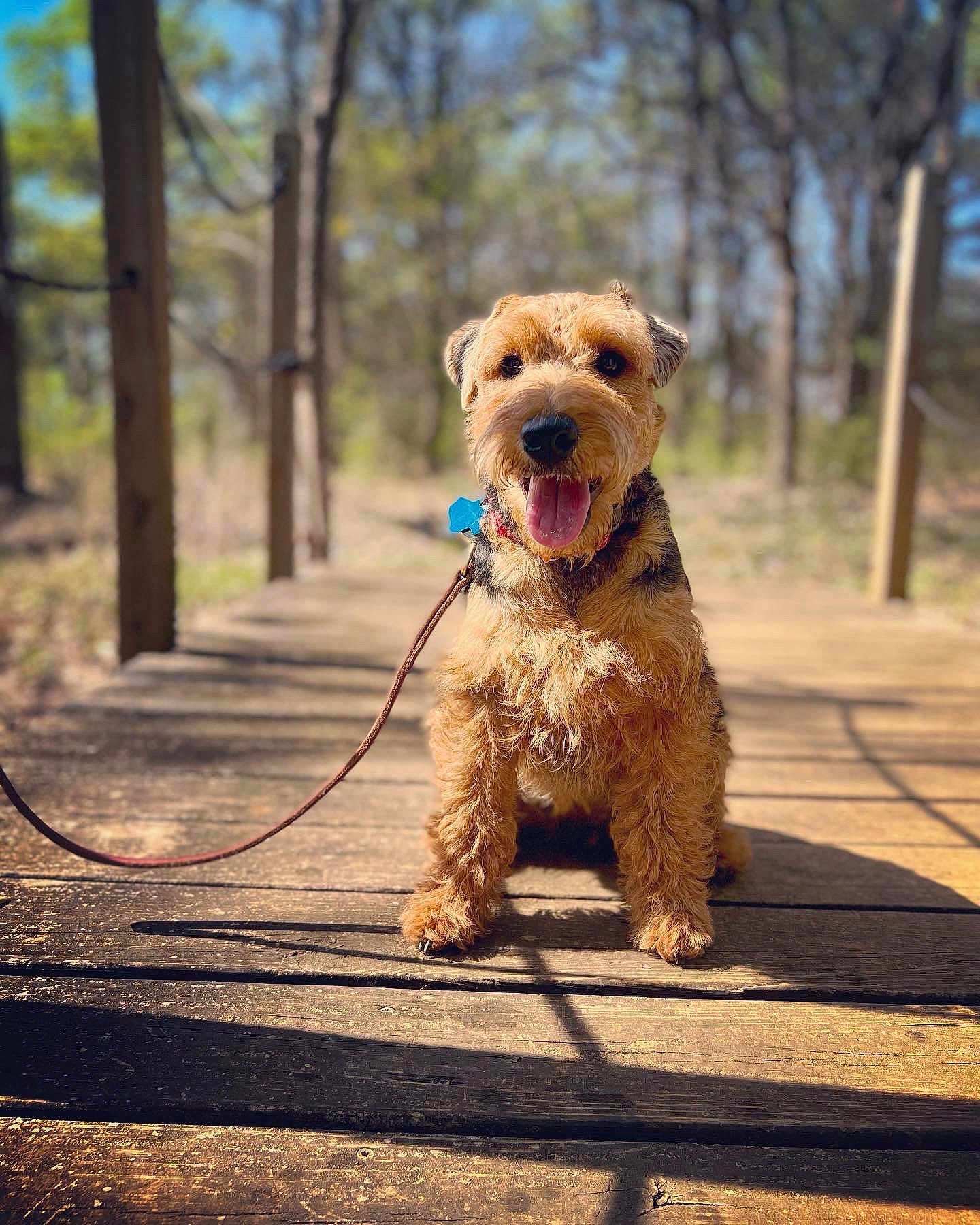 Finley