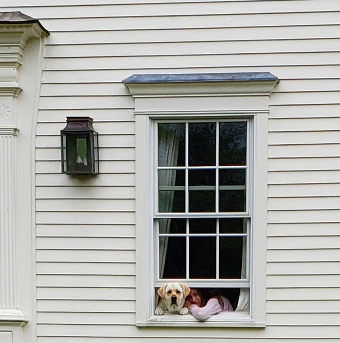 Huck is registered to the contest to win money with this photo: brick, brickwork, building, building_material, carnivore, companion_dog, dog, door, facade, fixture, home_door, house, property, rectangle, sash_window, siding, tints_and_shades, wall, window, wood