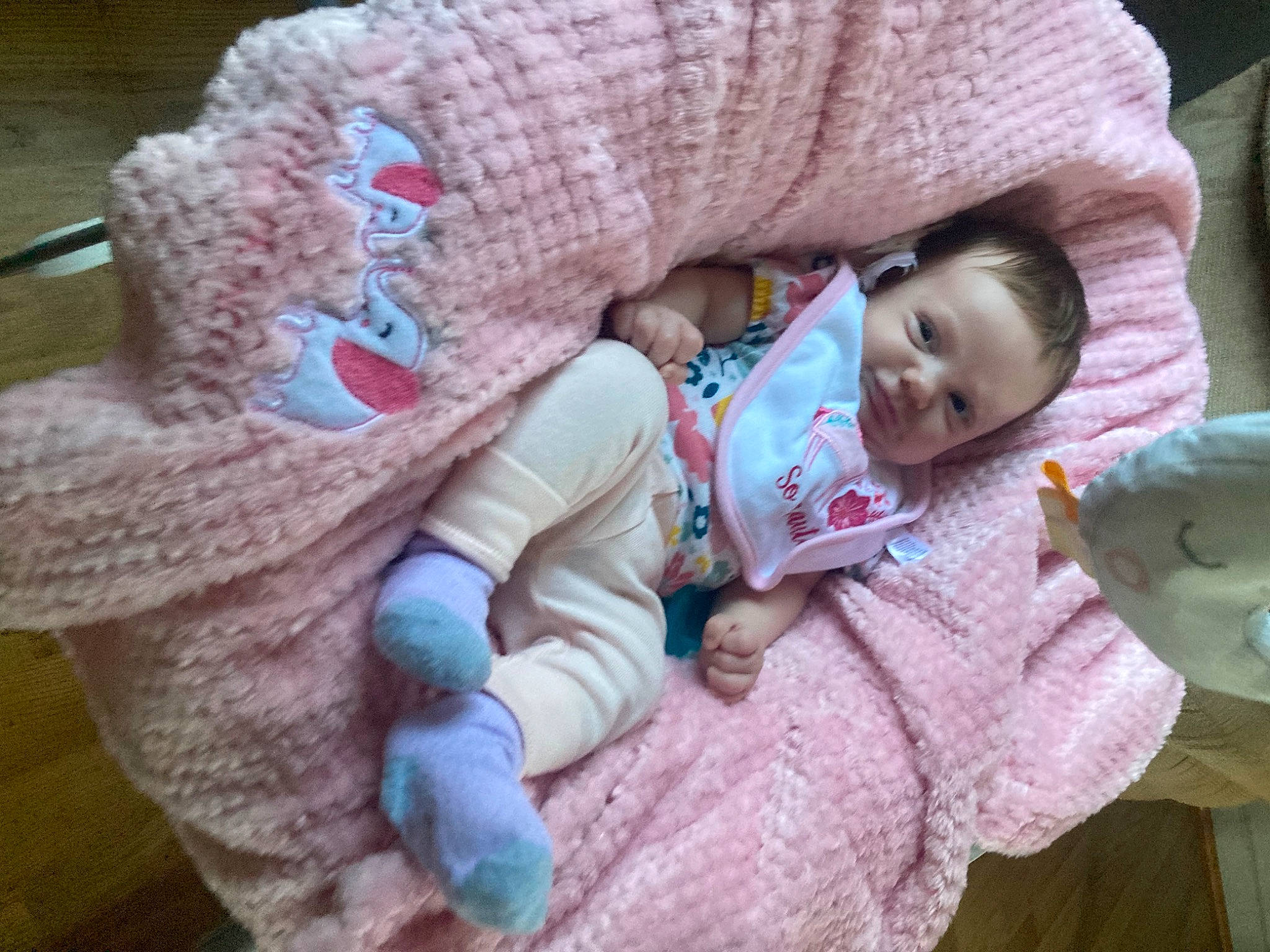 Brynlee is registered to the contest to win money with this photo: baby, baby_products, baby_toddler_clothing, cheek, child, comfort, craft, fur, grass, happy, knit_cap, linens, person, pink, sitting, skin, smile, stuffed_toy, toddler, wool