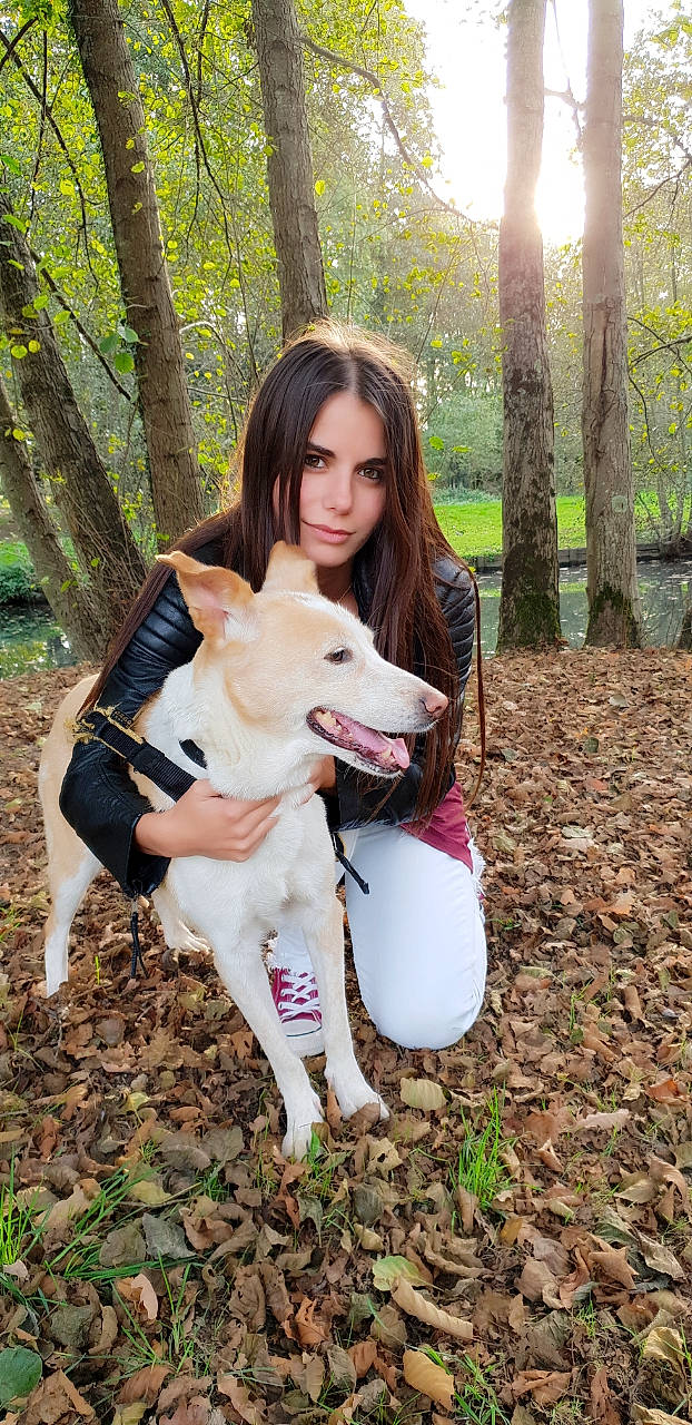 Solène a rejoint le concours — aidez-le/la à gagner de superbes lots ! adventure, canidae, carnivore, carolina_dog, companion_dog, dog, dog_breed, fawn, mammal, smooth_collie, tree