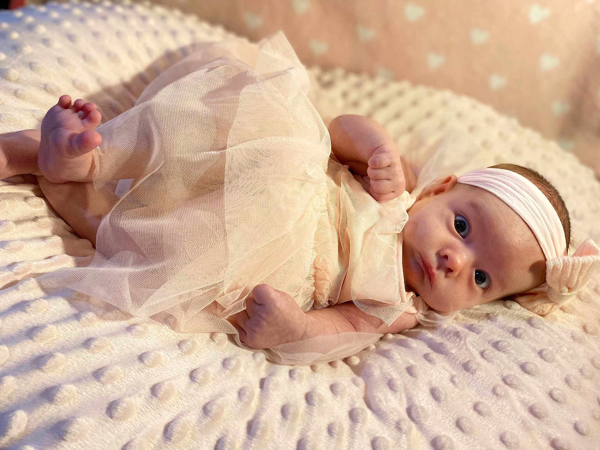 Maddie joined the competition — help win amazing prizes! baby, infant, tutu, headband, blanket, soft_texture, lying_down, cute, portrait, indoor, child, clothing, pink, face, hands, feet, expression, adorable, newborn, cozy