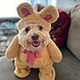 dog, costume, bear_costume, pet, cute, fluffy, indoor, sofa, smiling, animal, face, ears, bow_tie, home, cozy, portrait, sitting, furry, tongue_out, blurry_background