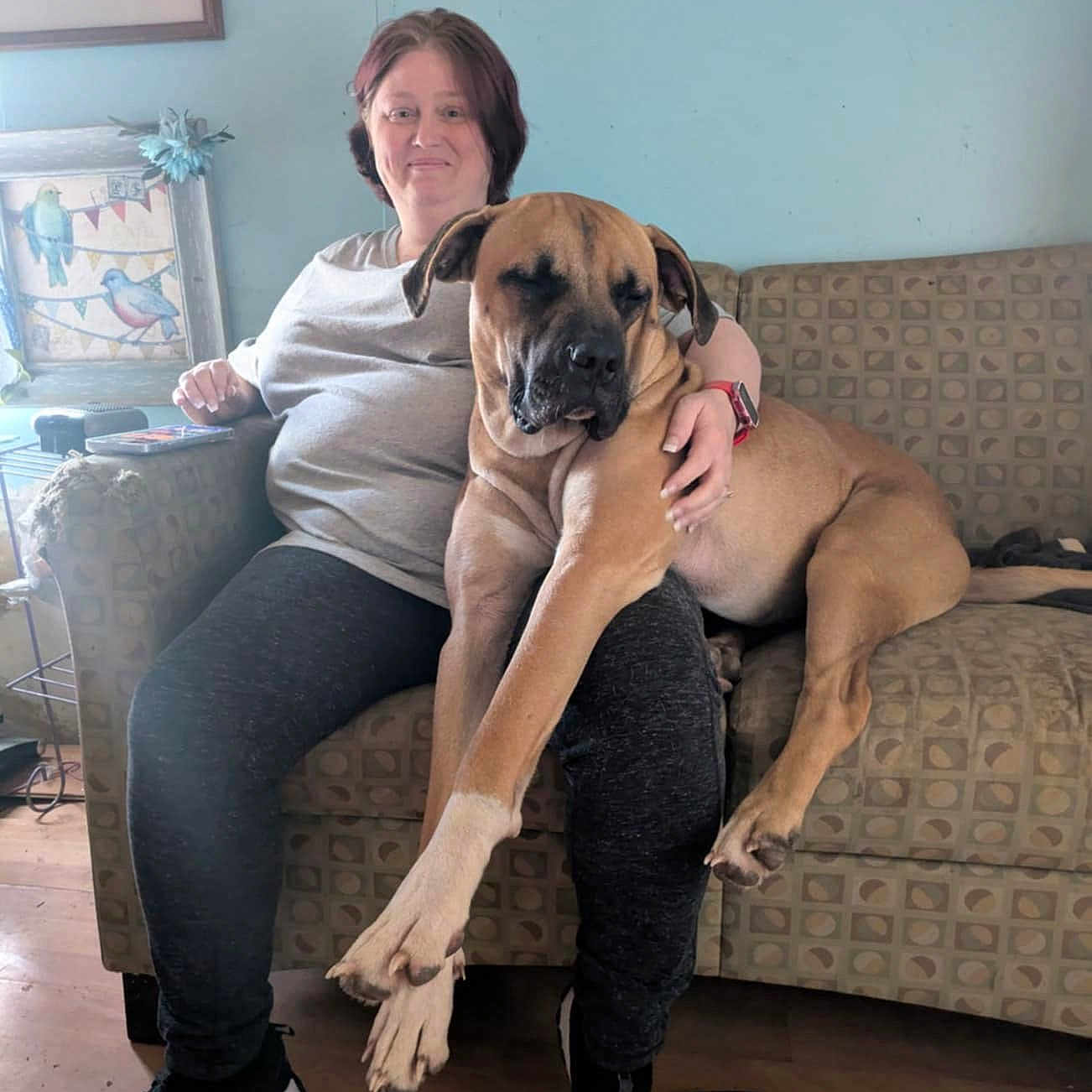 Duke joined the competition — help win amazing prizes! adult, animal, architecture, building, canine, clothing, couch, face, female, furniture, head, indoors, pants, person, pet, photoframe, photography, portrait, sitting, woman