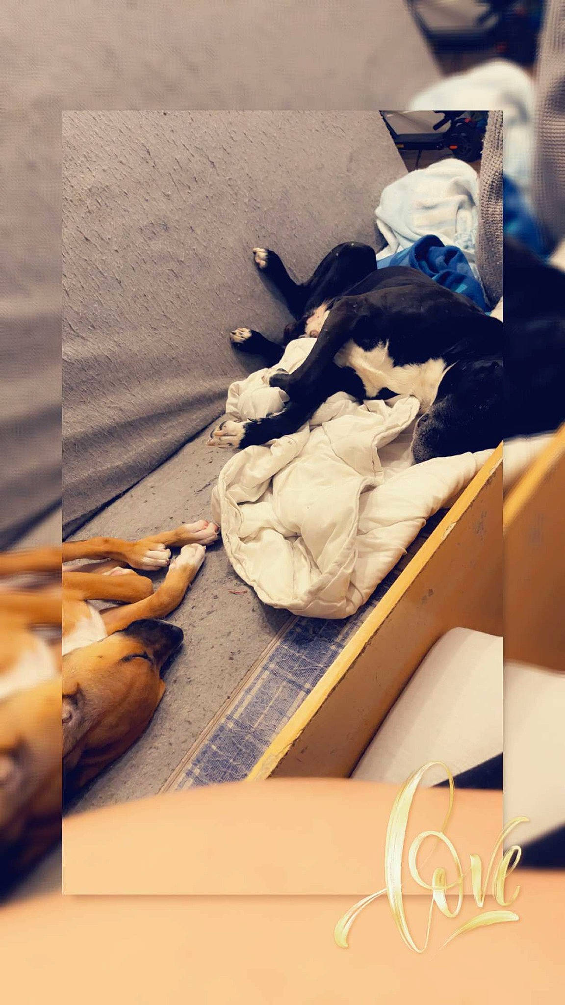 Rocky Et Kyara a rejoint le concours — aidez-le/la à gagner de superbes lots ! arm, art, bed_sheet, bedding, child, comfort, doll, drawer, fashion_design, human_body, human_leg, illustration, linens, room, sitting, stuffed_toy, thigh, toy, visual_arts, wood