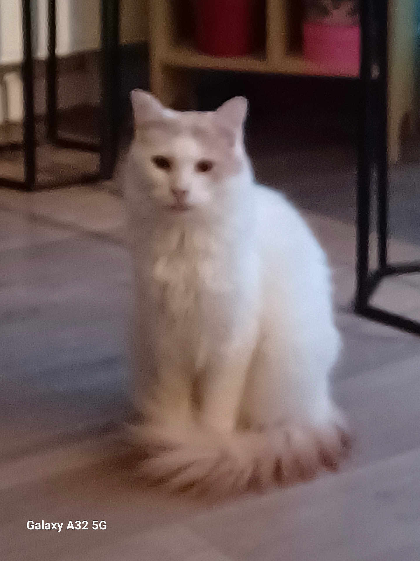 Milou