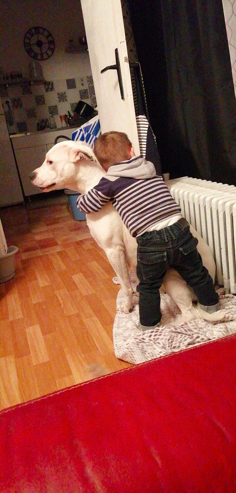 Maira