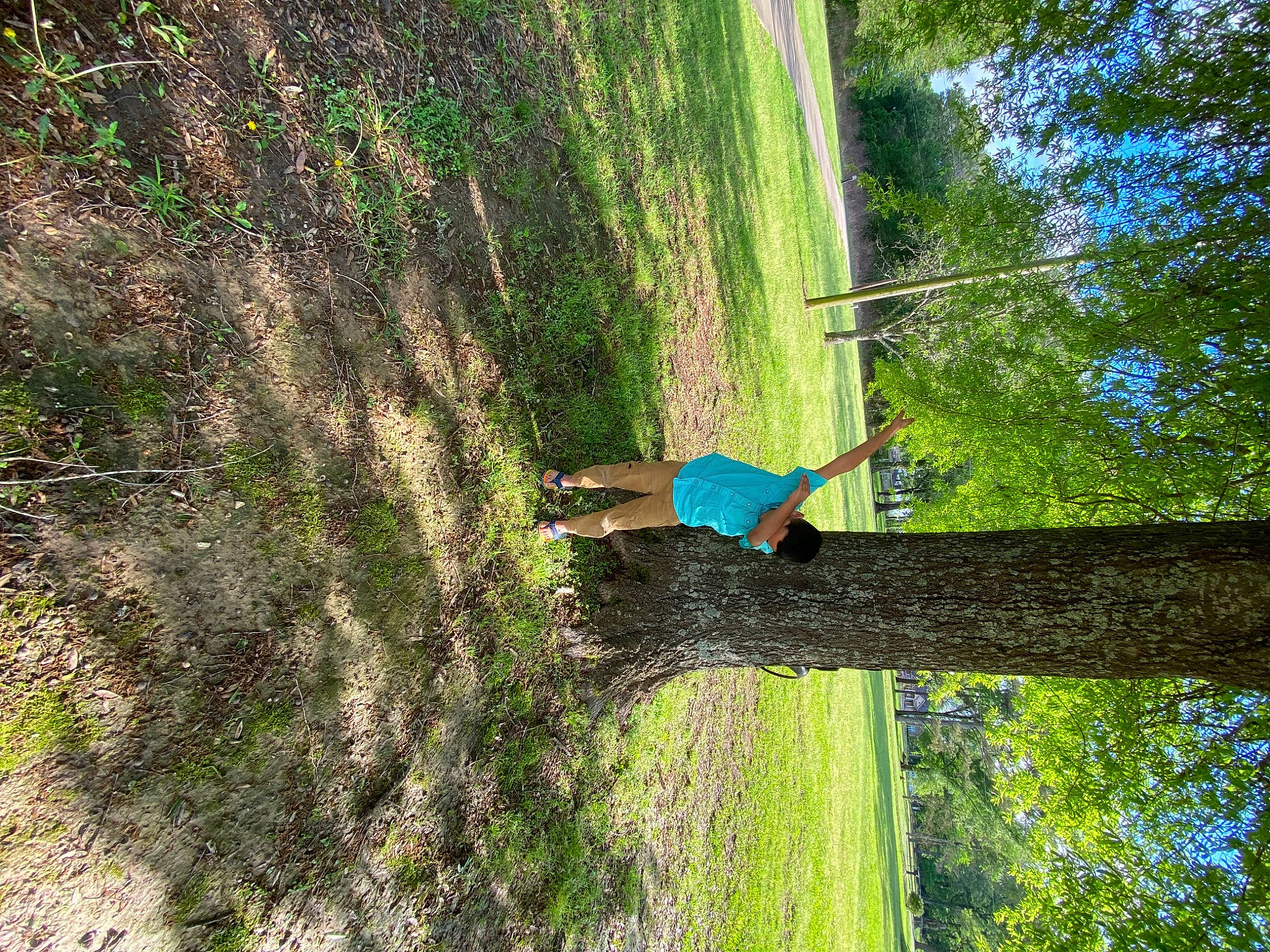 Silas is registered to the contest to win money with this photo: branch, ecoregion, forest, fun, grass, landscape, leisure, people_in_nature, person, plant, plant_community, pole, recreation, shrub, sky, slope, terrestrial_plant, tree, trunk, wood