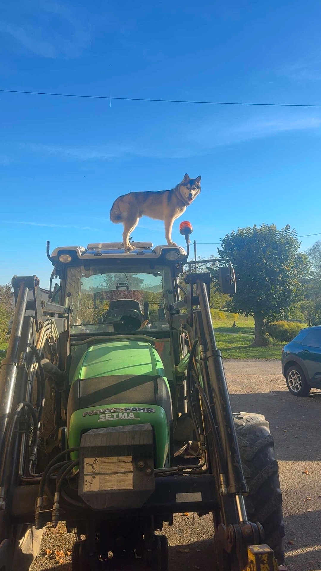 Togo participe au concours pour gagner de l'argent avec cette photo : dog, tractor, outdoor, vehicle, farm, sunny, blue_sky, tree, car, rural, animal, canine, machinery, nature, daytime, sky, transport, pet, standing, agriculture