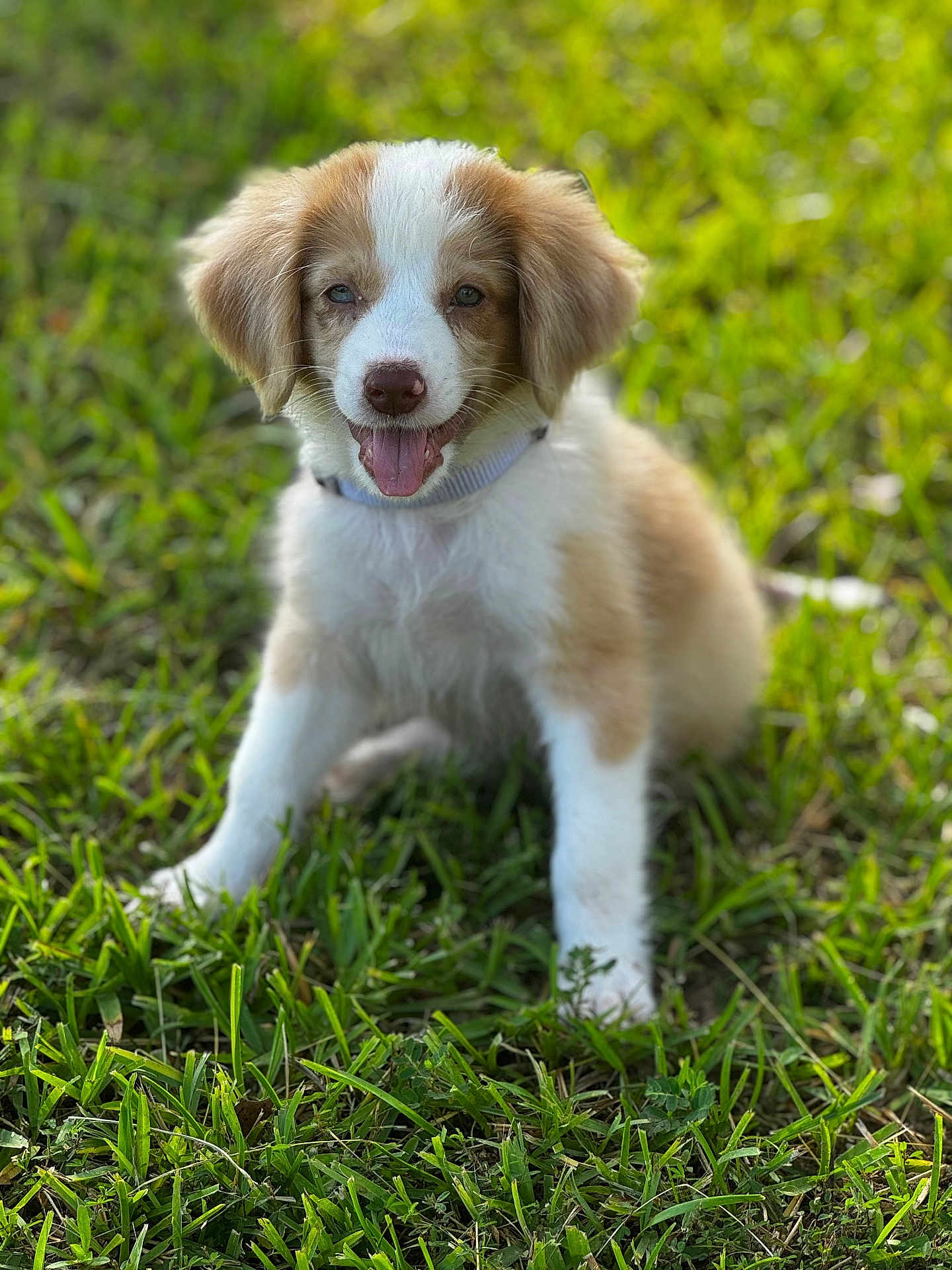 Maggie