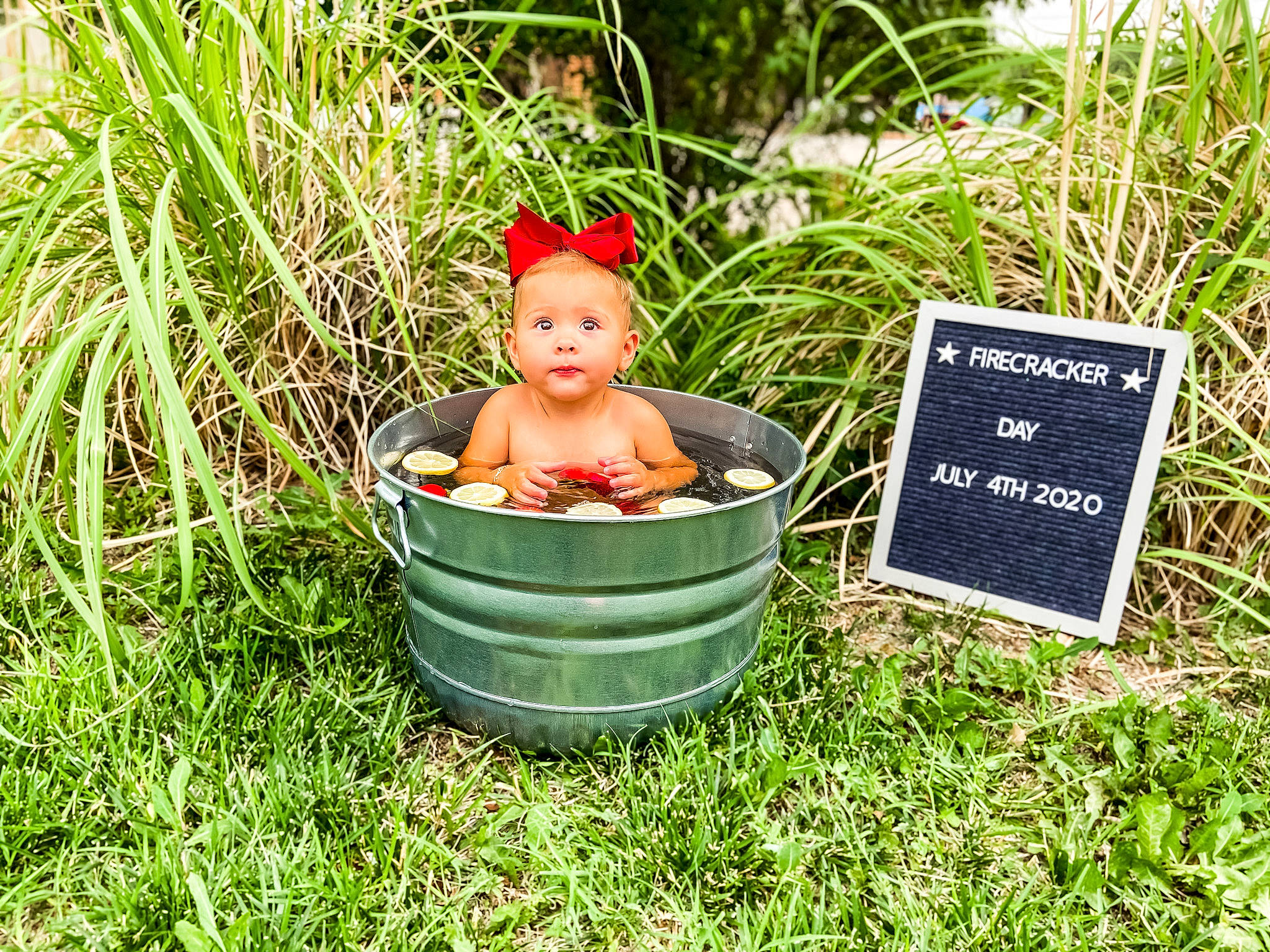 Ezabella is registered to the contest to win money with this photo: grass, lawn_ornament, person, plant