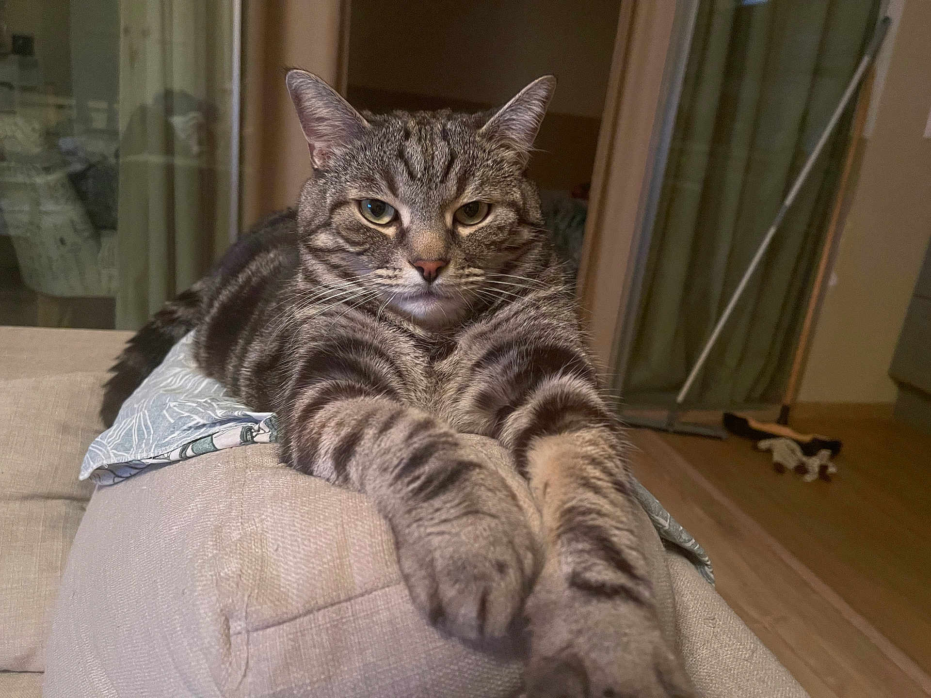 Simba