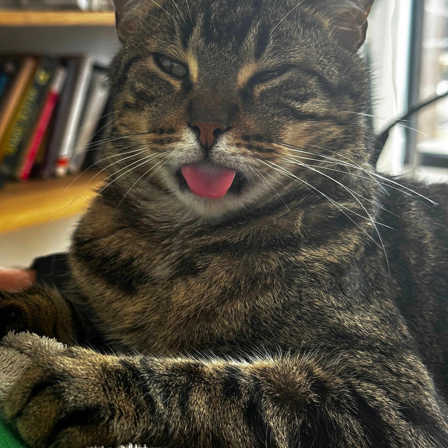 Titchat