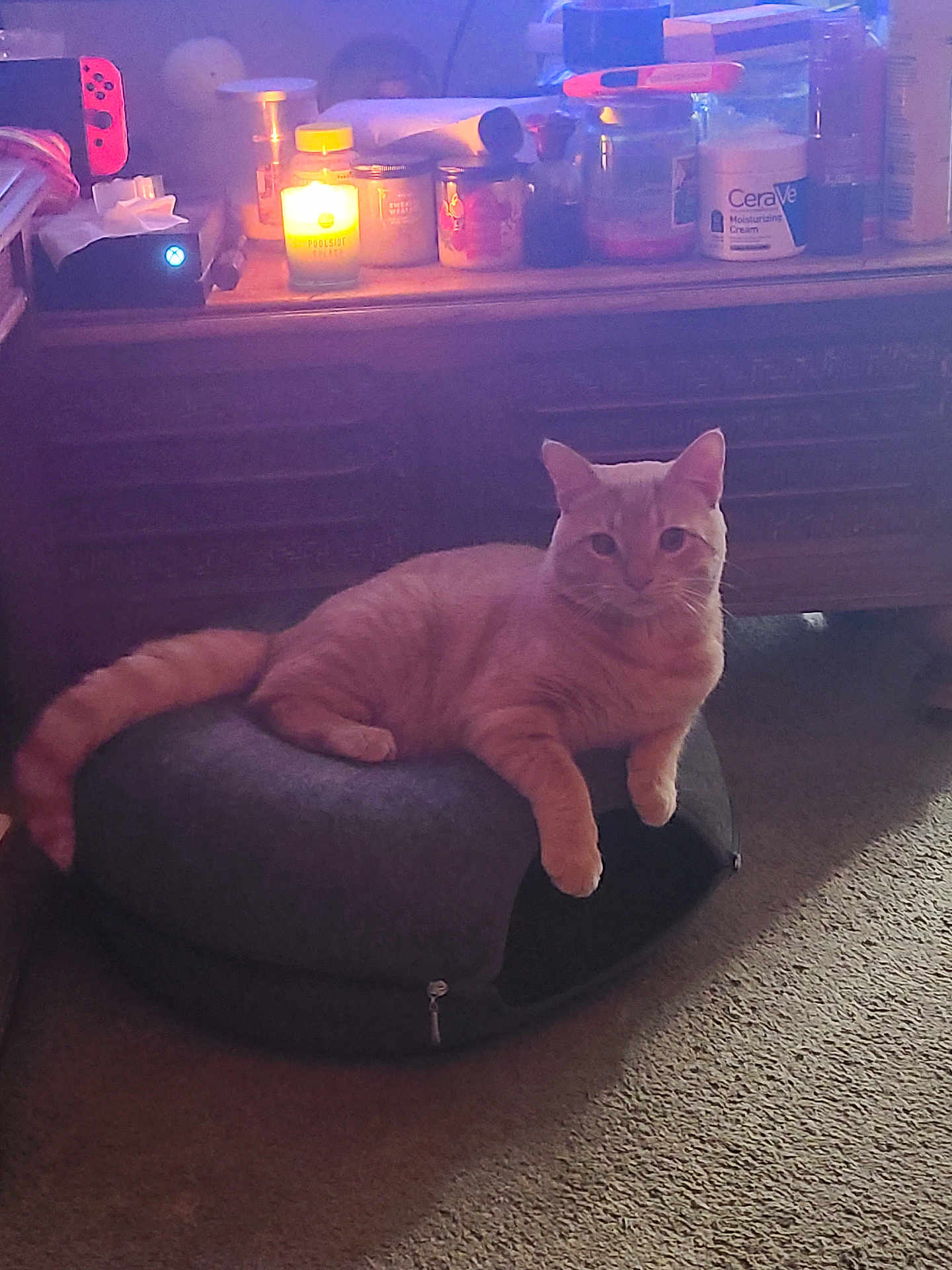 Pumpkin
