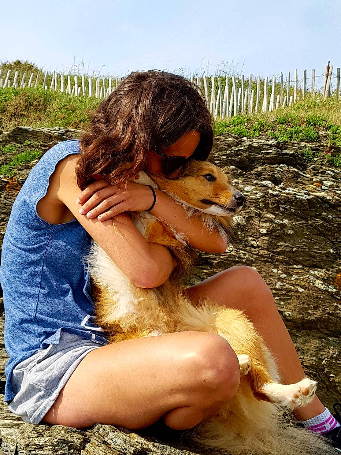 Mac a rejoint le concours — aidez-le/la à gagner de superbes lots ! abdomen, canidae, carnivore, companion_dog, fawn, fun, happy, leg, long_hair, people_in_nature, photo_shoot, summer, thigh, vacation