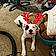 Charlie