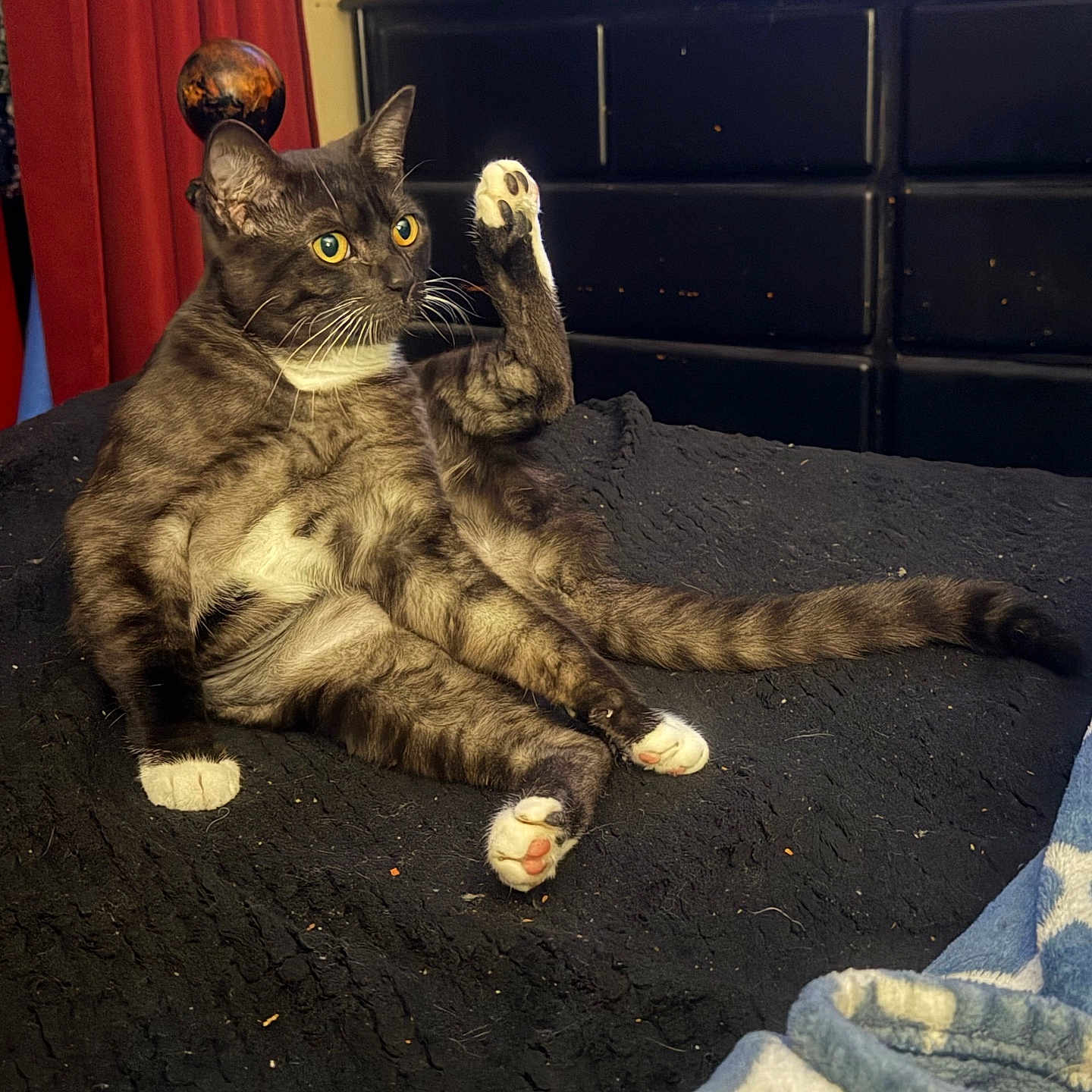 Hazel