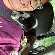 Milo joined the competition — help win amazing prizes! person, dog, puppy, glasses, smile, car, seat, seatbelt, window, purple_shirt, black_and_white_dog, cuddling, resting, happy, indoor, closeup, headrest, fur, paw, nature_outside