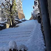 Rouky participe au concours pour gagner de l'argent avec cette photo : alley, architecture, blizzard, branch, city, daytime, freezing, frost, geological_phenomenon, ice, infrastructure, neighbourhood, plant, road, sky, snow, street, tree, water, winter