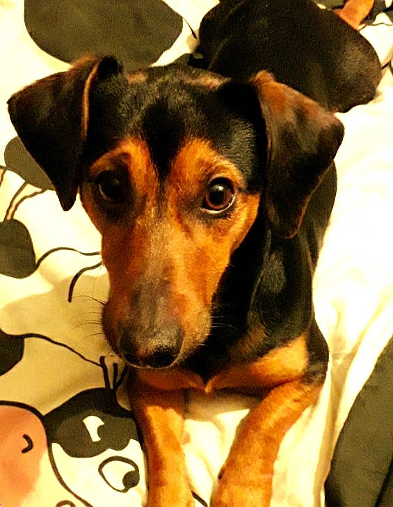 Pépère