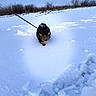cat, tabby, snow, winter, outdoors, animal, pet, leash, walking, frost, cold, landscape, nature, snowdrifts, pawprints, fur, whiskers, ears, blue_sky, rural
