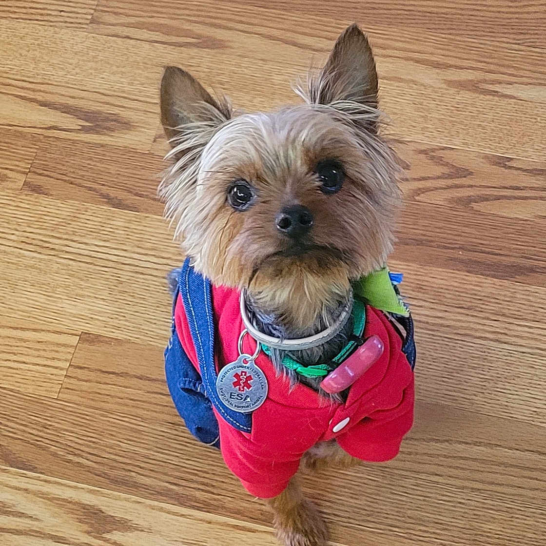 Cooper
