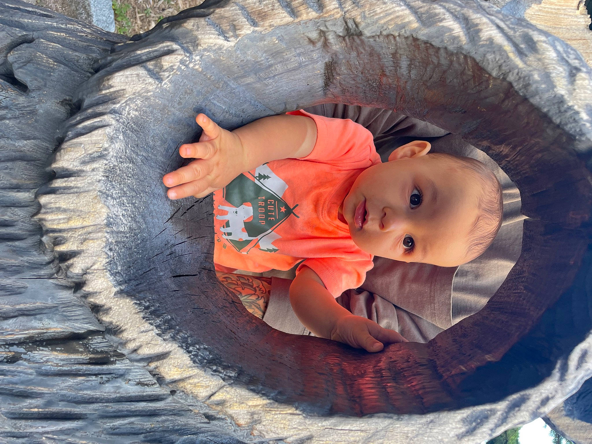 Emilio is registered to the contest to win money with this photo: auto_part, automotive_tire, automotive_wheel_system, baby, baby_products, baby_toddler_clothing, comfort, eye, fun, human_body, person, plant, synthetic_rubber, tire, tire_care, toddler, tread, tree, water, wheel