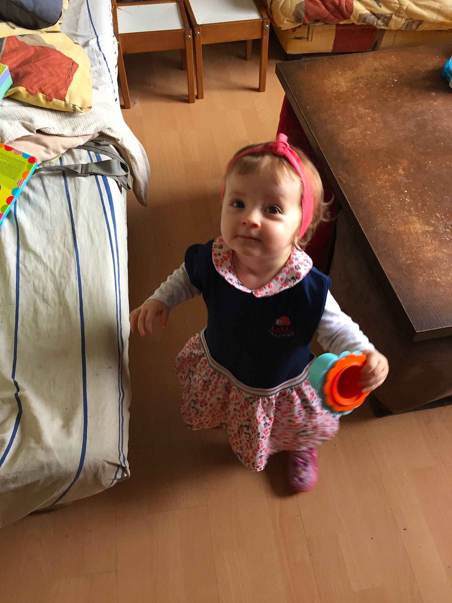 Elisabeth participe au concours pour gagner de l'argent avec cette photo : baby, baby_toddler_clothing, child, comfort, floor, flooring, fun, hardwood, laminate_flooring, living_room, orange, person, pillow, product, sitting, sock, table, textile, toddler, varnish