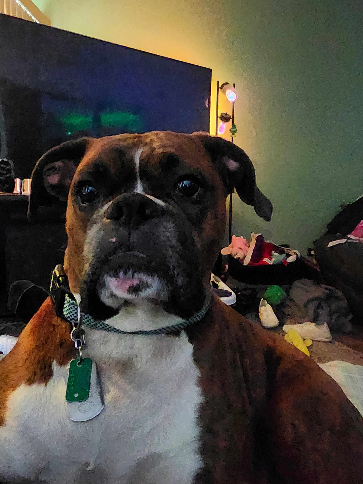 Rizzo