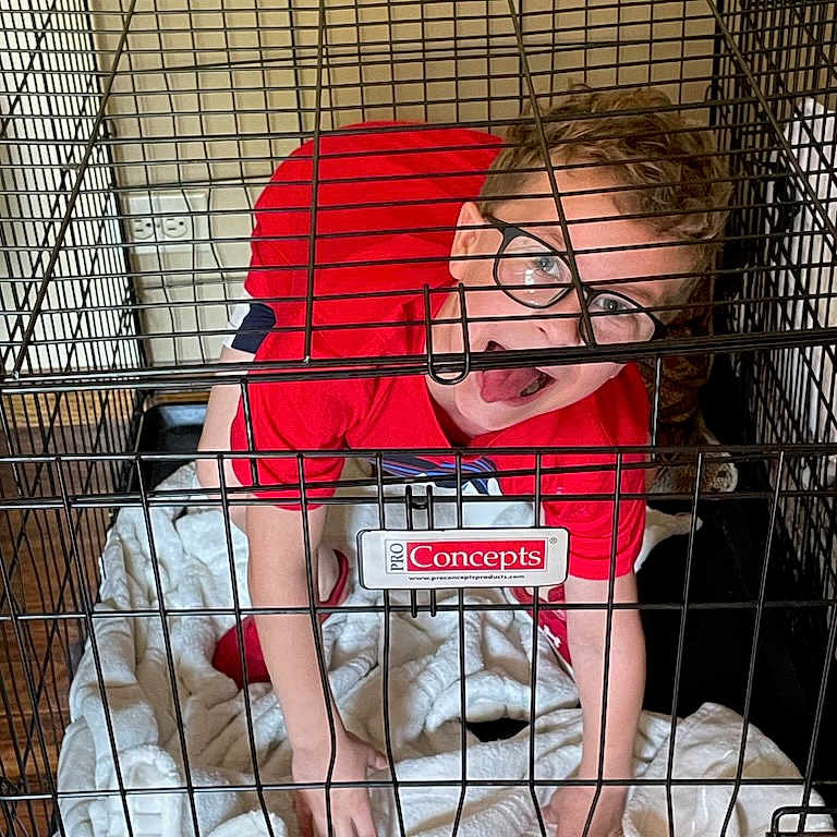 George joined the competition — help win amazing prizes! accessories, animal, architecture, baby, building, clothing, den, face, footwear, glasses, head, indoors, outdoors, person, photography, portrait, shelter, shoe, shorts, t_shirt