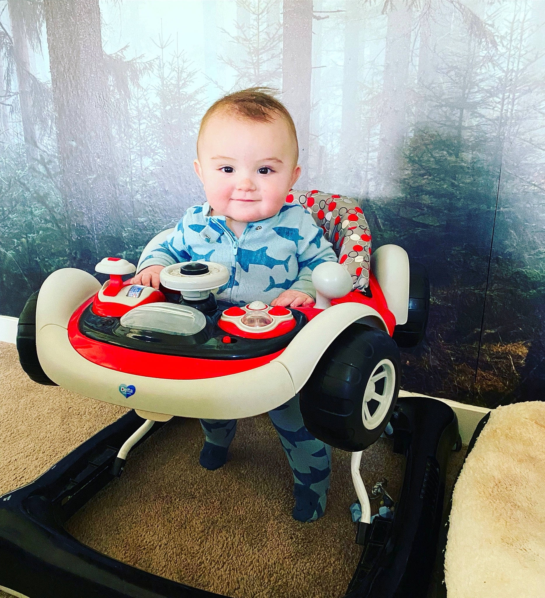 Bradley is registered to the contest to win money with this photo: auto_part, automotive_design, baby, baby_products, baby_toddler_clothing, carmine, child, comfort, electric_blue, flash_photography, happy, motor_vehicle, person, product, riding_toy, sitting, t_shirt, tire, toddler, vehicle