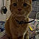 Mr.winston