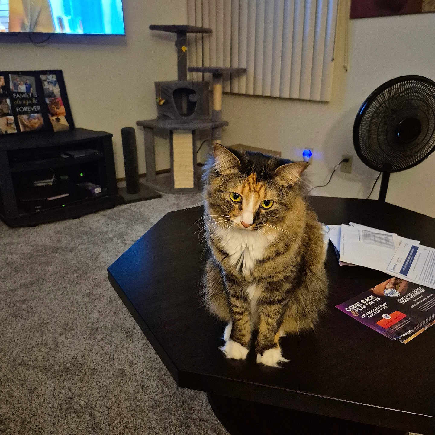 Missy