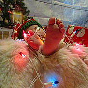 Jasper is registered to the contest to win money with this photo: baby, feet, christmas_lights, blanket, knit_hat, holiday, festive, decorations, toddler, cozy, wrapped, indoors, celebration, cute, warm, child, foot, string_lights, christmas_tree, present