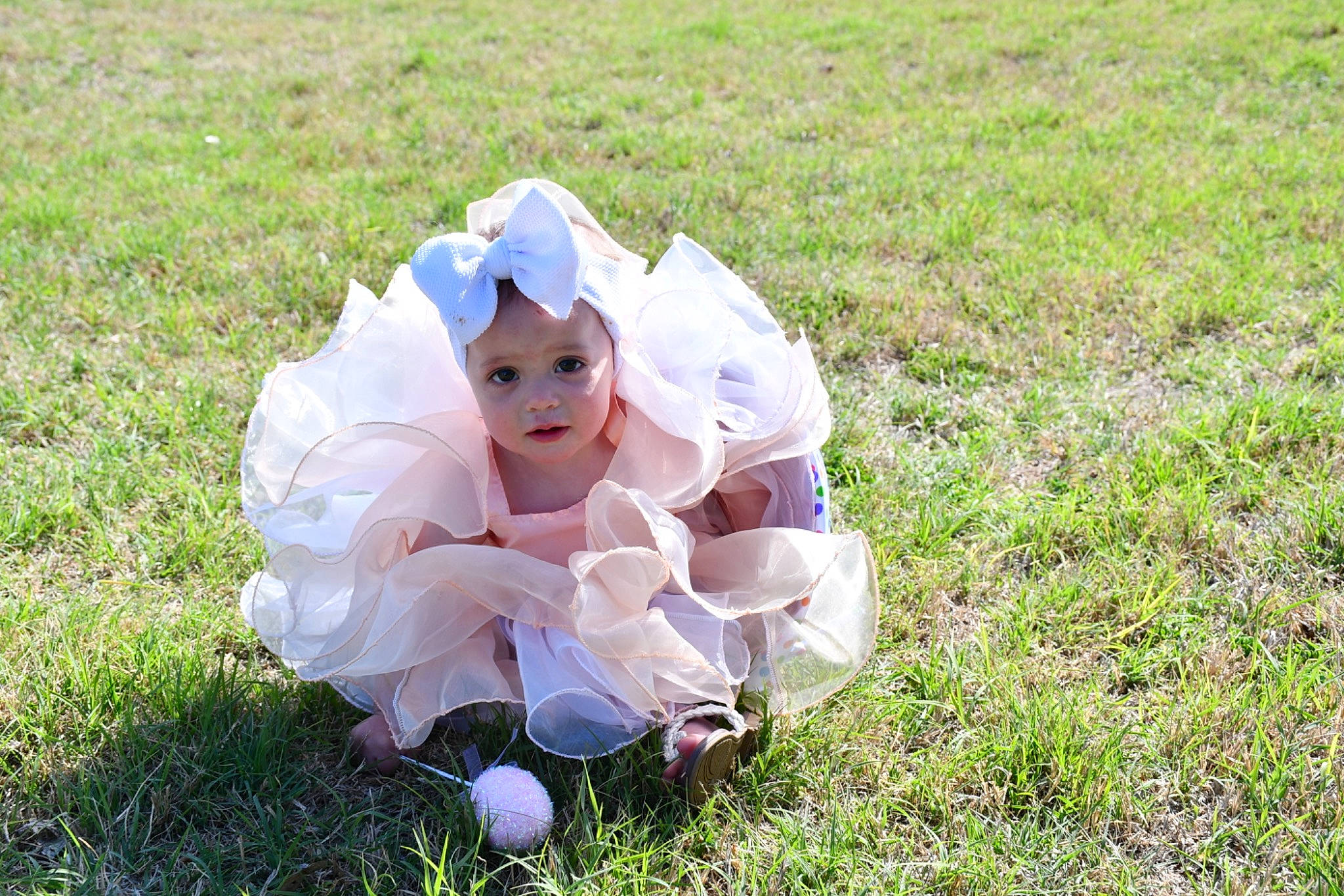 Braylea is registered to the contest to win money with this photo: baby, baby_toddler_clothing, ball, dress, fun, grass, grass_family, grassland, happy, hat, headpiece, headwear, lawn, leisure, meadow, people_in_nature, person, petal, plant, prairie