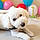 Arlo