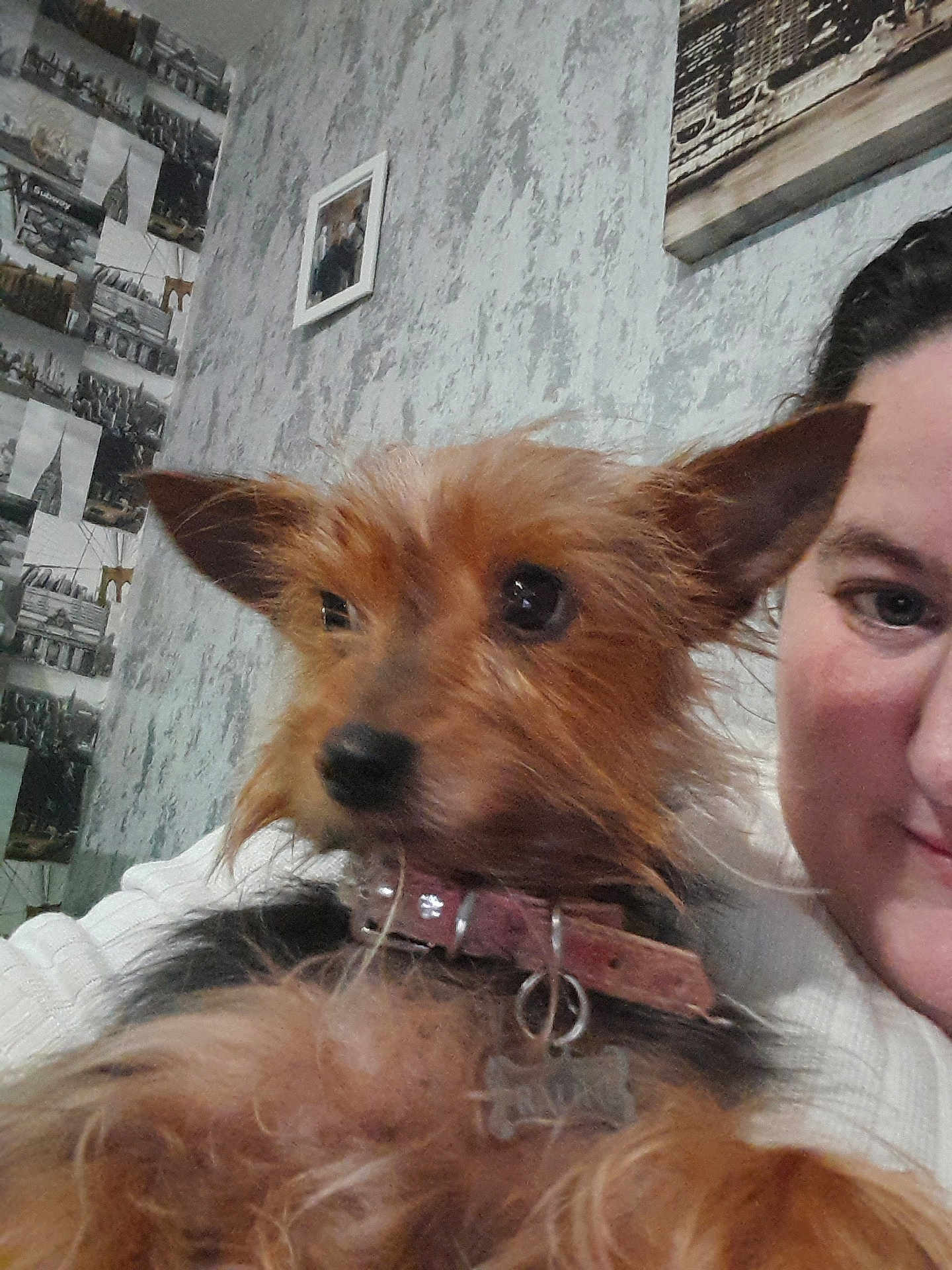 Praline