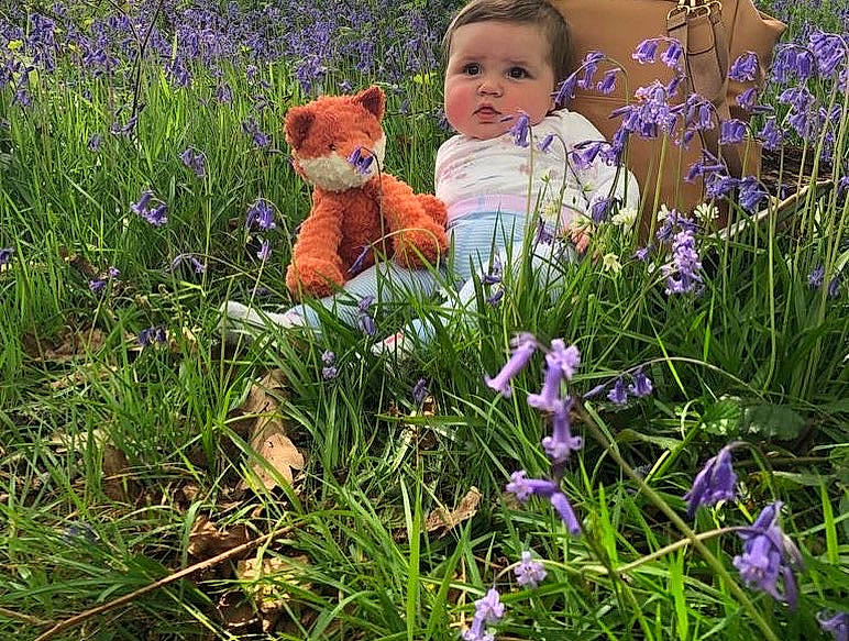 Beatrix is registered to the contest to win money with this photo: fawn, flower, flowering_plant, grass, grass_family, grassland, groundcover, happy, meadow, people_in_nature, person, plant, prairie, purple, shrub, stuffed_toy, terrestrial_plant, toddler, toy, violet
