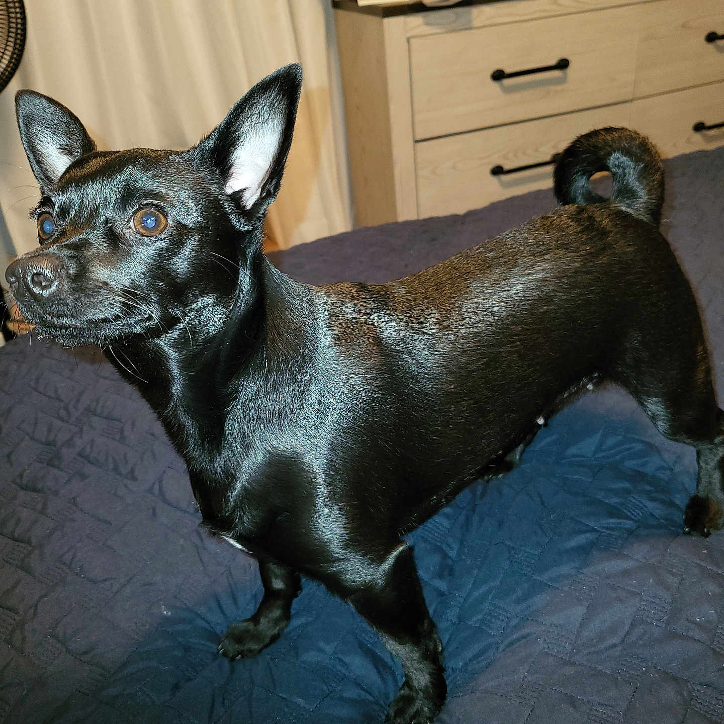 Luna