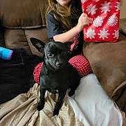 Luna is registered to the contest to win money with this photo: child, dog, black_dog, couch, blanket, gift_bag, red, snowflake_pattern, indoors, pet, young_child, sitting, brown_couch, fabric, casual_clothing, long_hair, holiday_theme, present, cute, companion