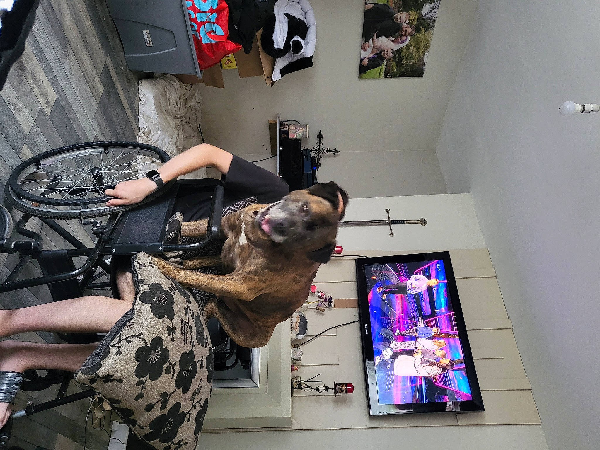 Ty joined the competition — help win amazing prizes! art, automotive_design, automotive_tire, bicycle, bicycle_fork, bicycle_frame, bicycle_handlebar, bicycle_saddle, bicycle_tire, bicycle_wheel, crankset, design, eyewear, fashion, groupset, human_leg, photograph, snapshot, tire, wheel