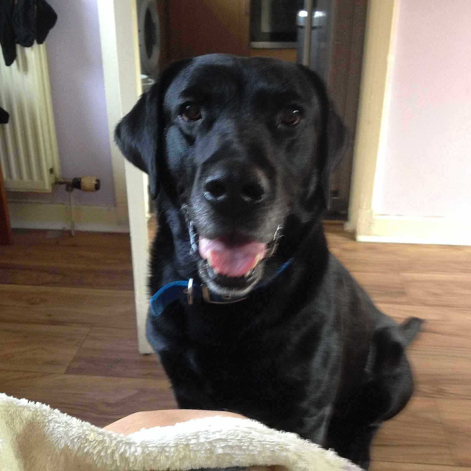 Vadar joined the competition — help win amazing prizes!