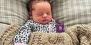 Wrenley joined the competition — help win amazing prizes! newborn, baby, sleeping, blanket, knit, onesie, leopard_print, pillow, pattern, cozy, indoor, child, resting, face, hand, cute, peaceful, infant, portrait, soft