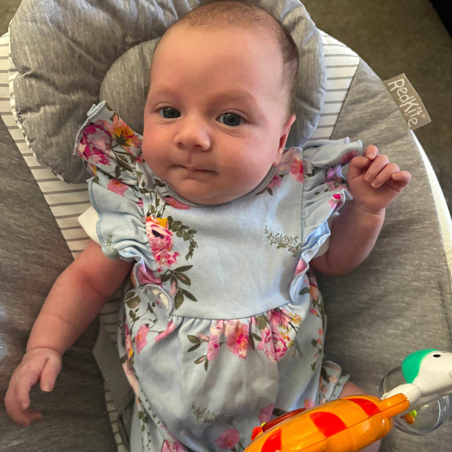 Holly joined the competition — help win amazing prizes! baby, bed, bodypart, clothing, couch, crib, cushion, face, finger, furniture, hand, hat, head, homedecor, infantbed, newborn, person, photography, portrait, toy