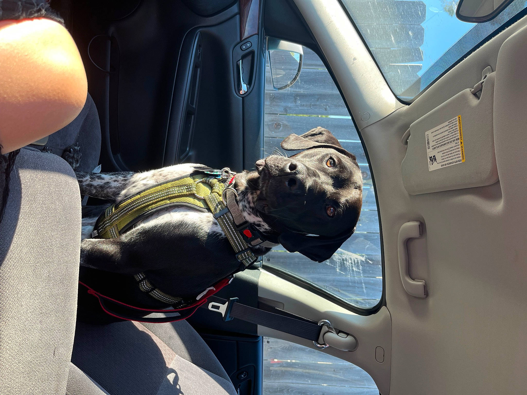 Remi is registered to the contest to win money with this photo: auto_part, automotive_design, automotive_exterior, automotive_lighting, automotive_tire, automotive_window_part, car, car_seat, car_seat_cover, family_car, head_restraint, mode_of_transport, motor_vehicle, personal_luxury_car, personal_protective_equipment, steering_part, steering_wheel, vehicle, vehicle_door, window