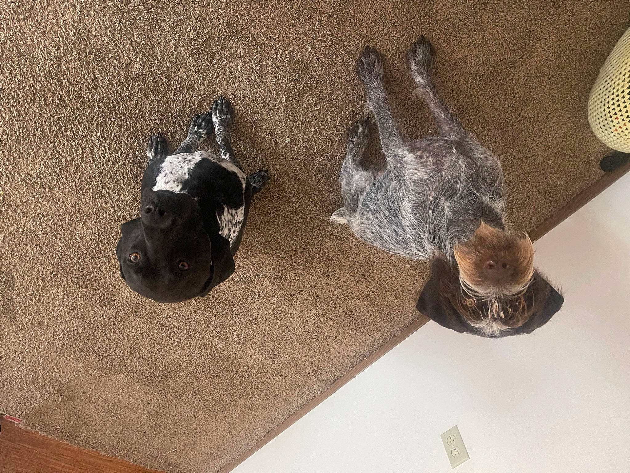 Kali is registered to the contest to win money with this photo: art, body_jewelry, bronze, fashion_accessory, jewellery, metal, sculpture, shadow, still_life_photography, wood