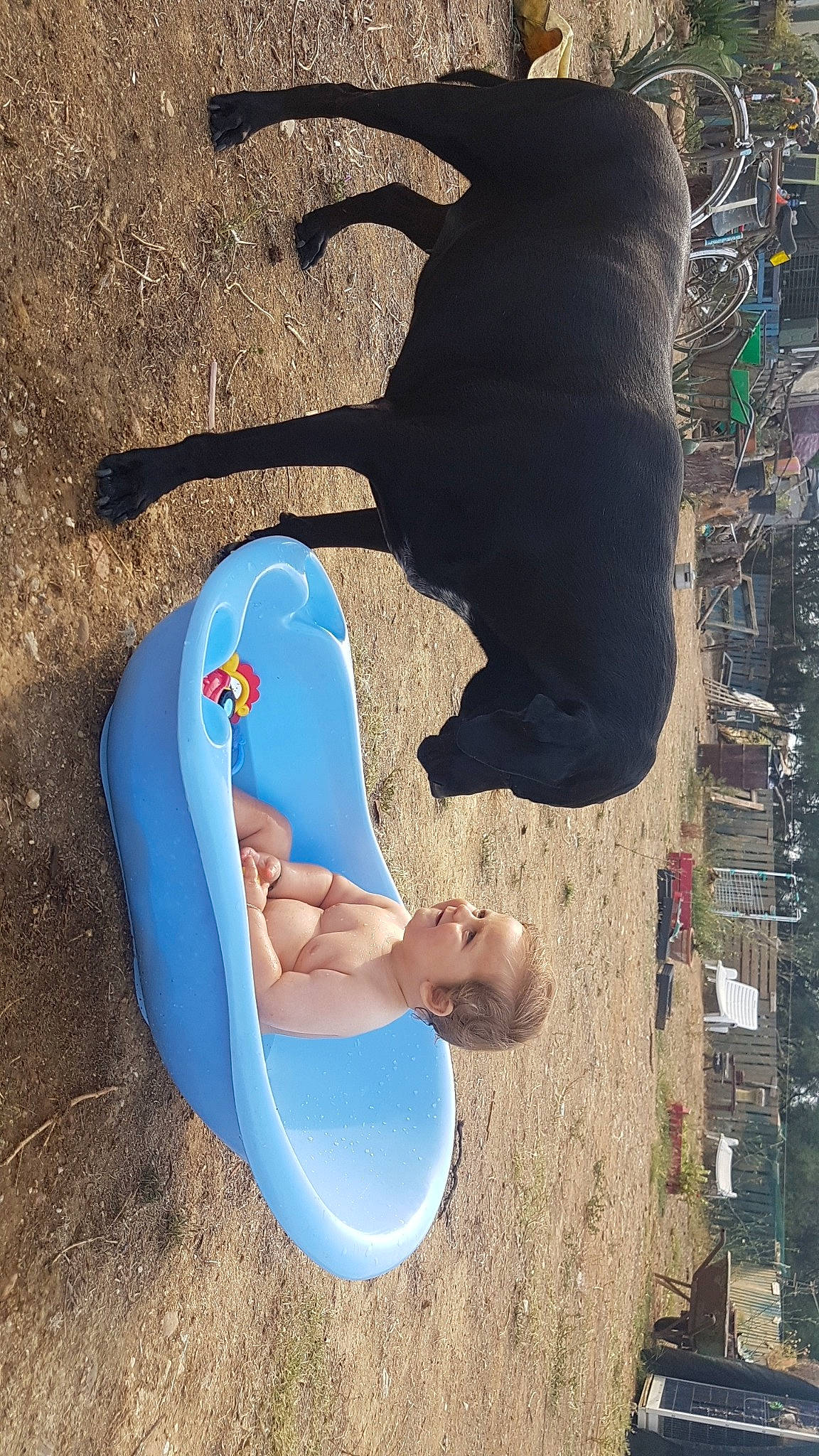 Tyron participe au concours pour gagner de l'argent avec cette photo : city, comfort, electric_blue, foot, fun, human_leg, leisure, marine_mammal, person, plastic, play, recreation, sand, shadow, sitting, travel, tree, vacation, water