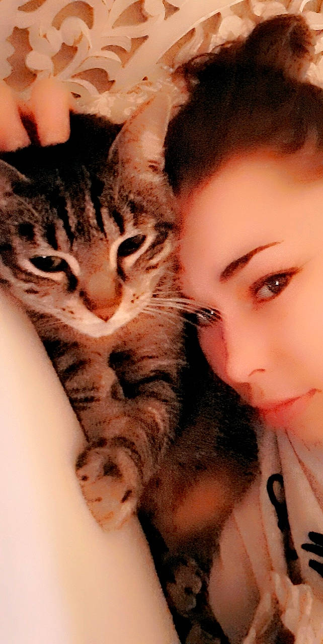 Muscade a rejoint le concours — aidez-le/la à gagner de superbes lots ! carnivore, cat, ear, eye, eyelash, fawn, felidae, finger, gesture, hand, happy, iris, jaw, mouth, nail, neck, nose, skin, small_to_medium_sized_cats, whiskers