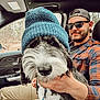 Mowgli is registered to the contest to win money with this photo: automotive_window_part, baseball_cap, beard, cap, car, carnivore, companion_dog, cool, dog, dog_breed, eyewear, facial_hair, happy, hat, metal, selfie, sunglasses, vehicle_door, vision_care, windshield
