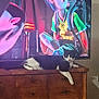 cat, black_and_white, wooden_dresser, tv_screen, animated_character, indoor, furniture, resting, pet, animal, home, living_room, colorful, relaxed, curious, screen, electronics, cartoon, sitting, feline
